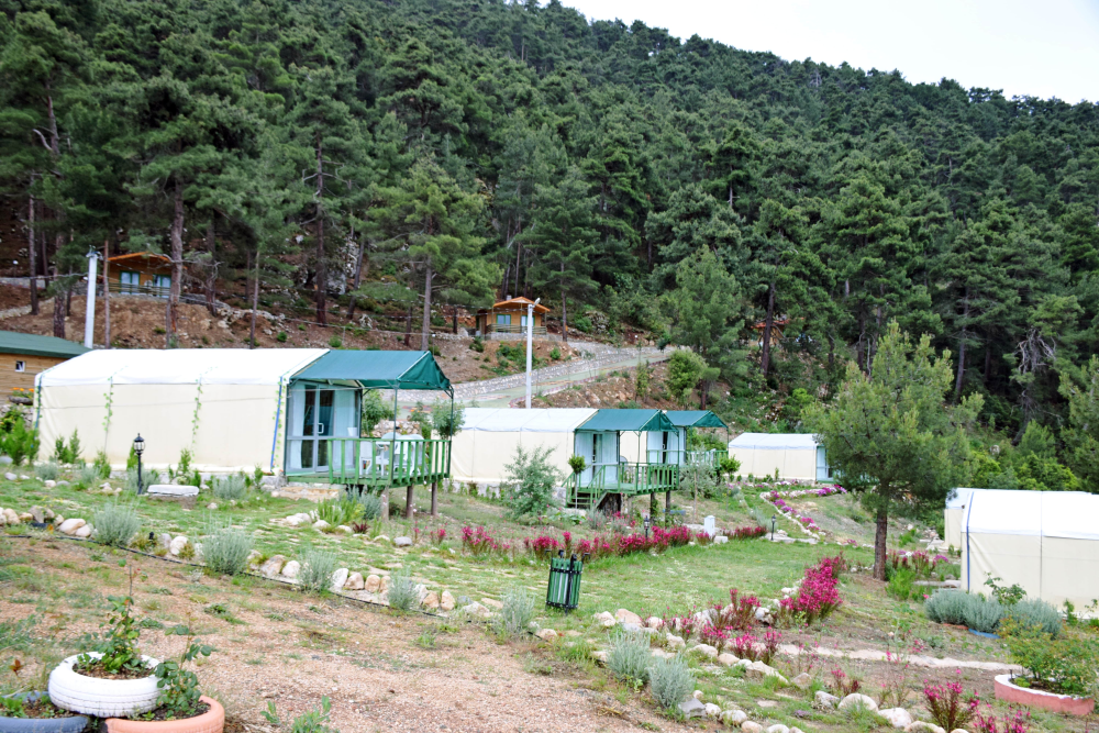 Doğa Yürüyüşü (trekki̇ng) - Çerkeşli̇ Kayalitepe - Fotoğraf 5